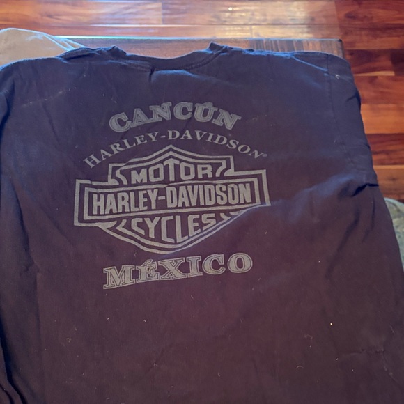 Harley-Davidson Skull and Logo long sleeve T-Shirts - Black and Gray - Picture 7 of 11